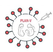 PLAN-V logo